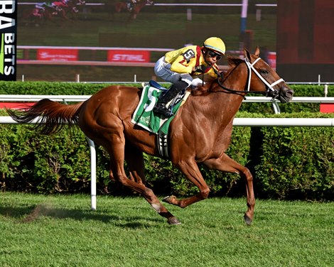 Cadenza wins the 2026 Galway Stakes at Saratoga Race Course