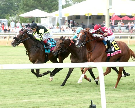 Gimme a Nother (SAF) wins the 2026 Beverly D. Stakes at Colonial Downs