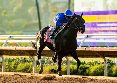 Godolphin LLC's Knightsbridge and jockey Junior Alvarado win the Grade I $1,000,000 Pacific Classic Saturday, August 22, 2026 at Del Mar Thoroughbred Club, Del Mar, CA. The Kentucky-bred son of Nyquist is trained by William I. Mott. Benoit Photo