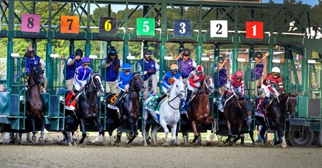The field for the 99th running of The Whitney breaks the gate with Magnitude #1, Nitrogen #2 and Baeza #8 all having trouble starting at the Saratoga Race Course Saturday Aug.6, 2026 in Saratoga Springs, N.Y.