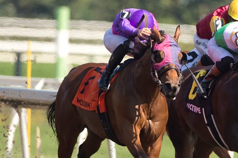 Souped Up wins the 2026 Bold Venture Stakes at Woodbine