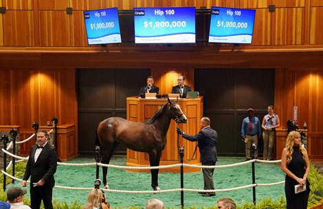 The Not This Time filly, consigned as Hip 100 in the ring at the Fasig-Tipton Saratoga Sale