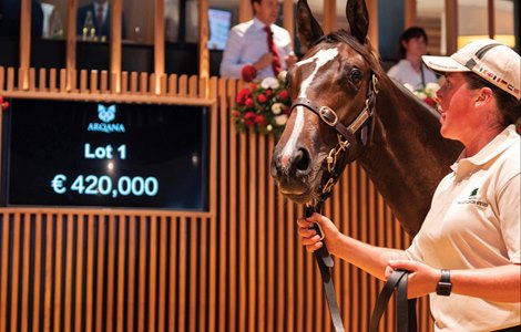2026 Arqana August Yearling Sale, Lot 1