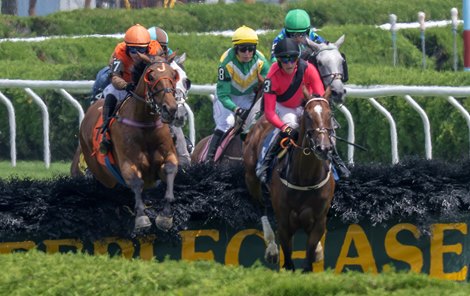 Smart Uncle #7, left jumps the fence with rider Jamie Barbary on the way to the win in the 30th running of the A.P. Smithwick Memorial GI at the Saratoga Race Course Wednesday Aug.5, 2026 in Saratoga Springs, N.Y. Photo by Skip Dickstein