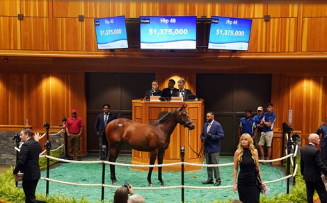 Hip 49, 2026 Saratoga Select Yearling Sale