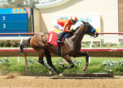 Miss Monica, Maiden Win, August 9 2026, Del Mar