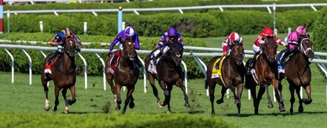 The field turns for home with six horses across the track at the head of the lane and the eventual winner #7 Survie with jockey Manny Franco on the outside and picking up steam as he goes on to win the 52nd running of The Christophe Clement Turf at the Saratoga Race Course Saturday Aug.15, 2026 in Saratoga Springs, N.Y.