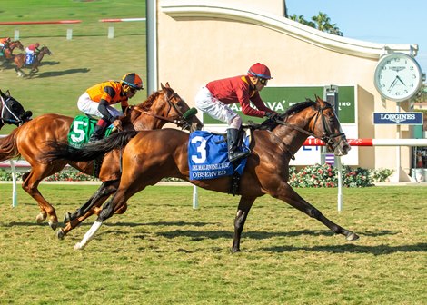 Observed and jockey Juan Hernandez win the Grade III $100,000 Del Mar Juvenile Turf Saturday, September 5, 2026 at Del Mar Thoroughbred Club, Del Mar, CA. Benoit Photo