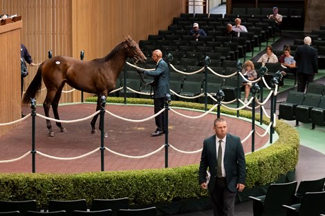 A yearling in the ring during the final day of the Keeneland September Sale Saturday, Sept. 26, at Keeneland. 