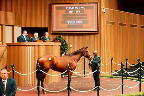 Hip 1969, 2026 Keeneland September Yearling Sale