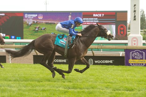 Al Hudaiba (GB) wins the 2026 Summer Stakes at Woodbine