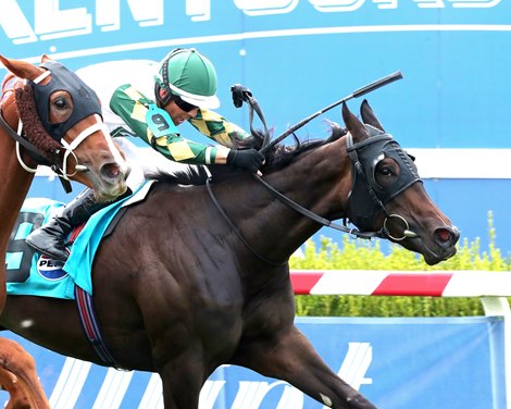 Citrus Springs wins the 2026 Kentucky Downs Juvenile Fillies Stakes at Kentucky Downs