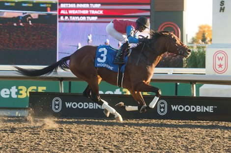 Fire and Wine wins the 2026 Ontario Derby at Woodbine