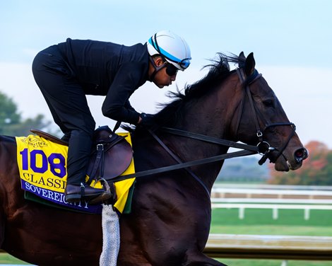 Sovereignty Morning training for Breeders’ Cup at Keeneland in Lexington, Ky., on Oct. 22, 2026.