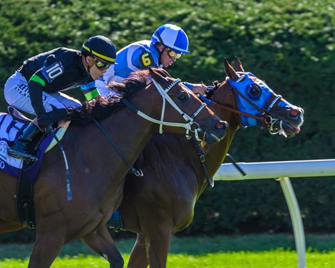 Joe Shiesty with Fernando De La Cruz wins the Woodford (G2T) at Keeneland in Lexington, Ky. on Oct. 3, 2026