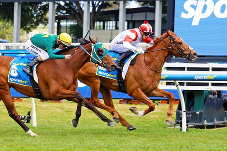 Land Legend wins the 2026 Might and Power Stakes at Caulfield Racecourse ridden by Ethan Brown and Trained by Ciaron Maher