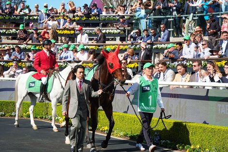 Ka Ying Rising before the 2026 The Everest at Royal Randwick Racecourse