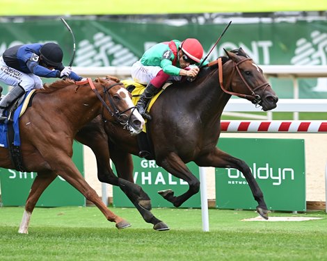 Egyptian Mau wins the 2026 Belmont Turf Sprint Stakes at Belmont Park