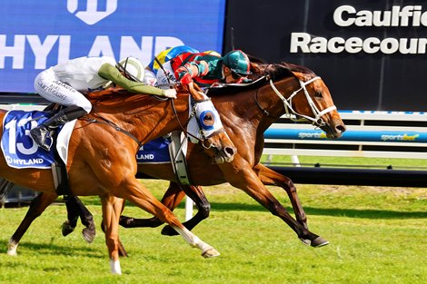 Lady Shenandoah wins the 2026 Toorak Handicap at Caulfield Racecourse ridden by James McDonald and trained by Chris Waller
