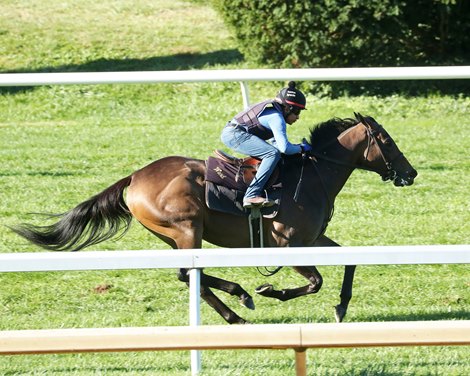 Eccentric, Work, October 20 2026, Keeneland, Turf, 5F, 1:05.80