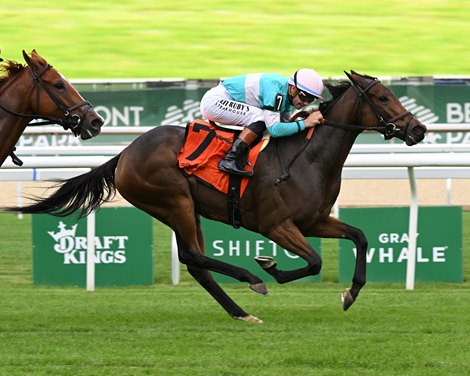Shelzawa wins the 2026 Winter Memories Stakes at Belmont Park Coglianese Photos/Susie Raisher