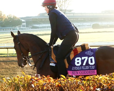 Sun Goddess - Gallop - Keeneland - 10-27-26